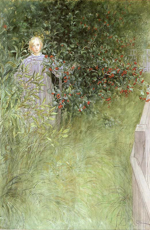 In the Hawthorn Hedge